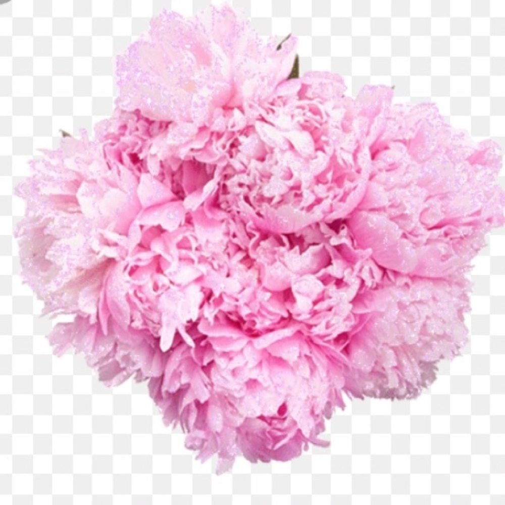 👠👗POSH AMBASSADOR- WELCOME👗👠